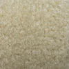 Soft Ivory