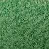 Wintergreen