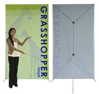 grasshopperlarge