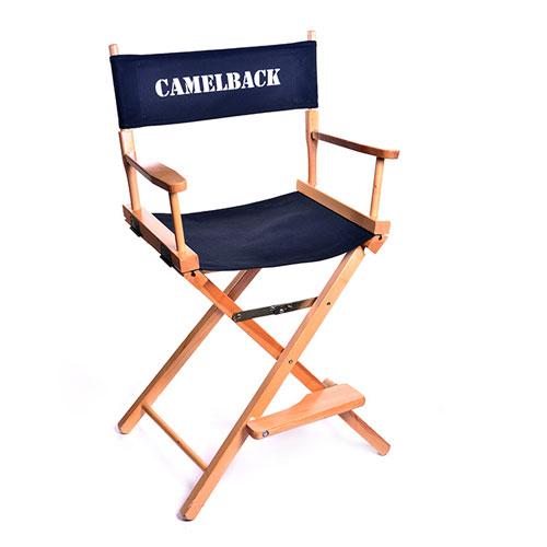 24 inch Gold Medal Contemporary Director Chair