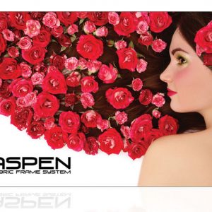 10ft Aspen Backwall Display