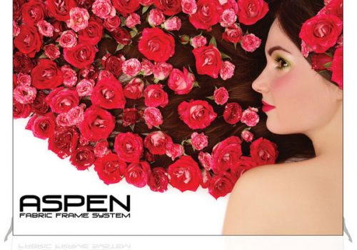 10ft Aspen Backwall Display
