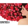 10ft Aspen Backwall Graphic Only View
