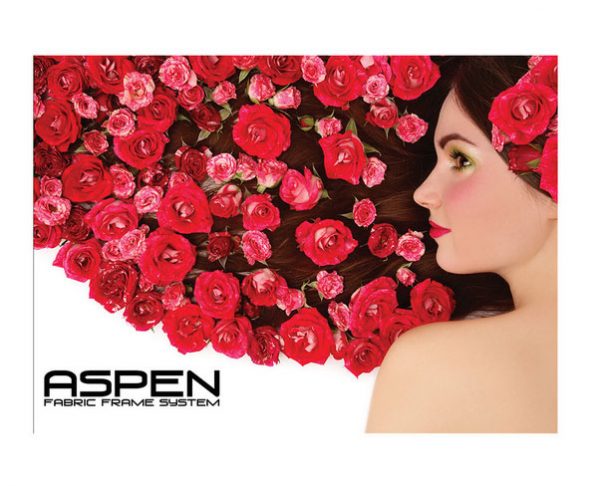 10ft Aspen Backwall Graphic Only View