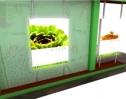 Backlit Wonder Gallery 2