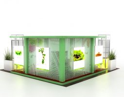 Backlit Wonder Gallery 4