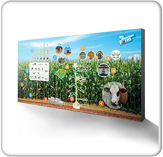 American Farm Bureau Foundation for Agriculture 15ft Cornfield Backwall Banner 3 wide Thumbnail