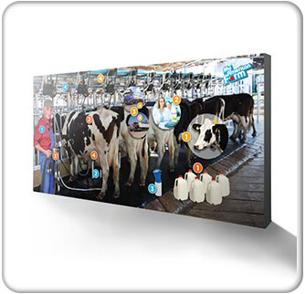 American Farm Bureau Foundation for Agriculture 15ft Dairy Backwall Banner 3 wide Thumbnail