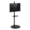 Freestanding Portable Monitor Stand And Kiosk