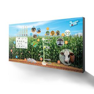AFBFA 15FT Backwall Cornfield