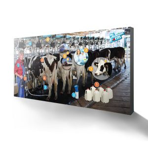 AFBFA 15FT Backwall Dairy Display