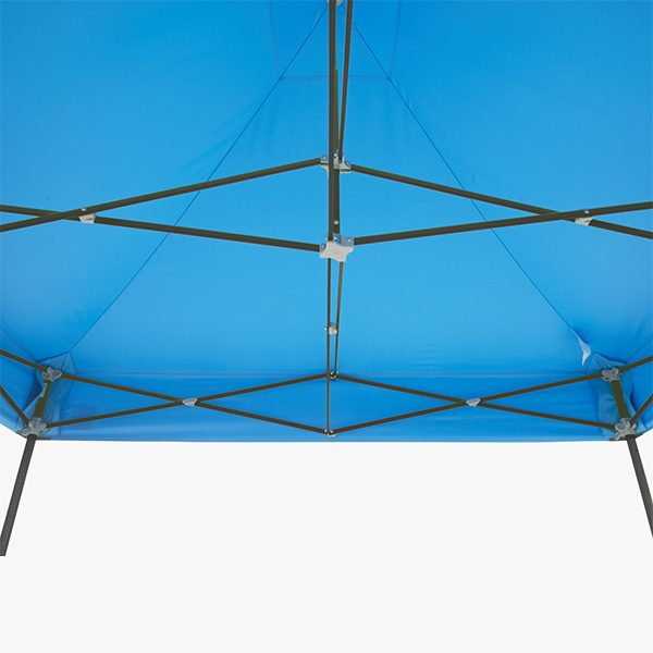 Eclipse II Canopy