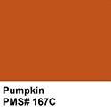 Pumpkin – PMS 167C