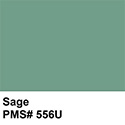 Sage – PMS 556U