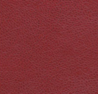 Leather Cranberry