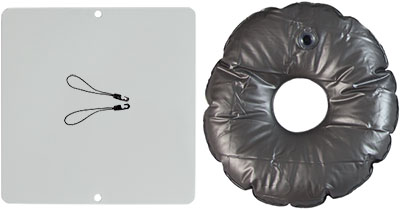 Plate and Weight Bag